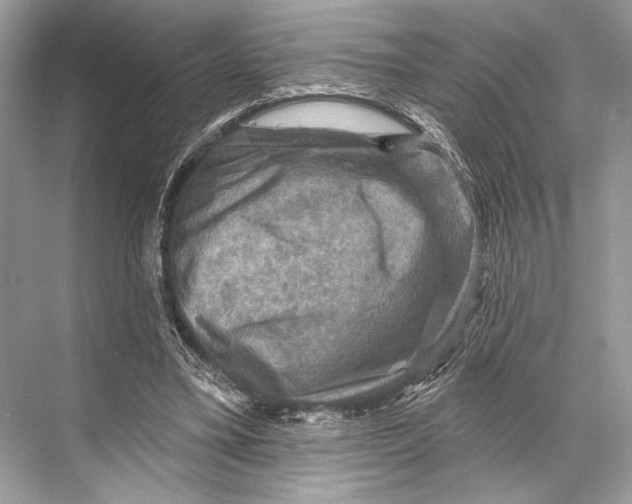 X0000067840395200605041655