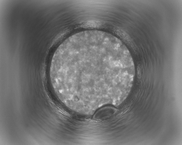 X0000067840396200605041655