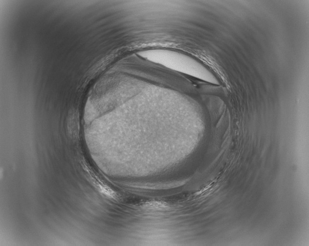 X0000067840397200605041655