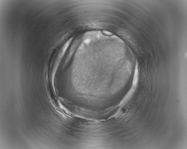 X0000067840398200605041655