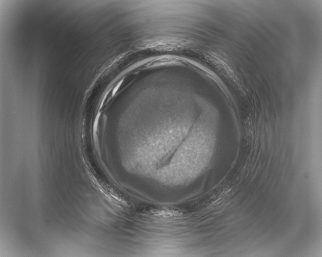 X0000067840400200605041655