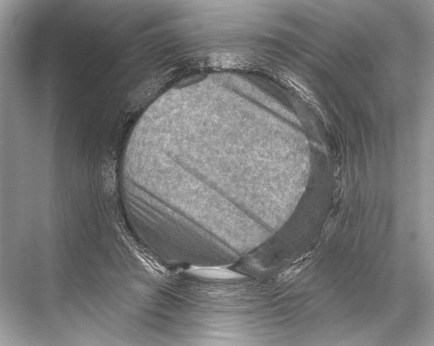 X0000067840401200605041655