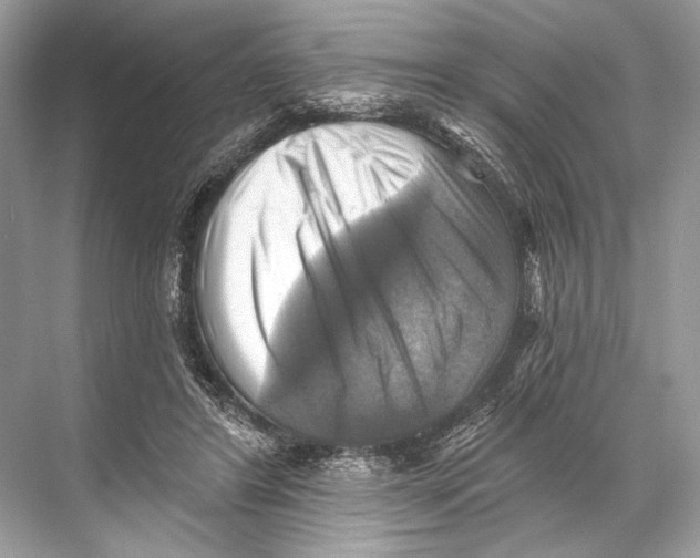 X0000067840404200605041654