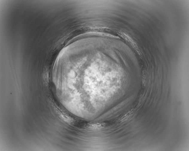 X0000067840405200605041654