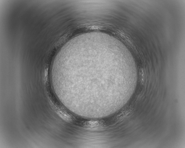 X0000067840406200605041654