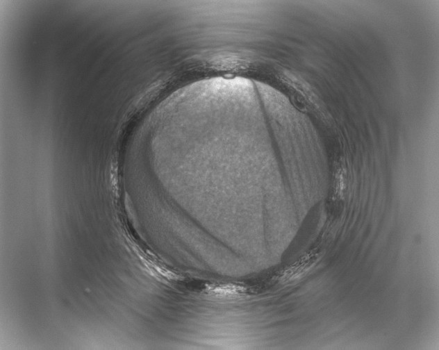 X0000067840407200605041654