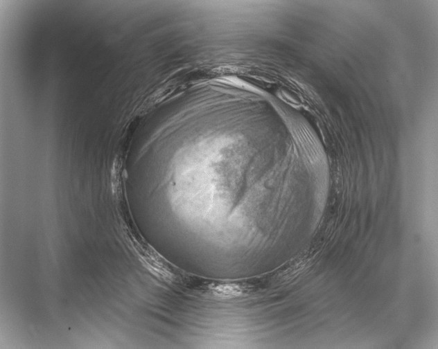 X0000067840409200605041654