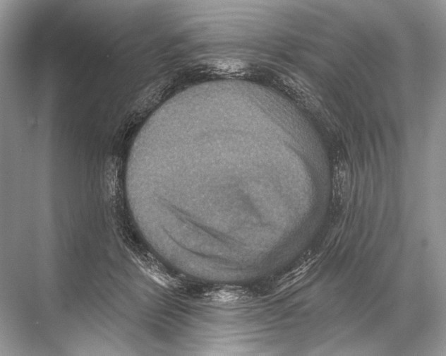 X0000067840412200605041654