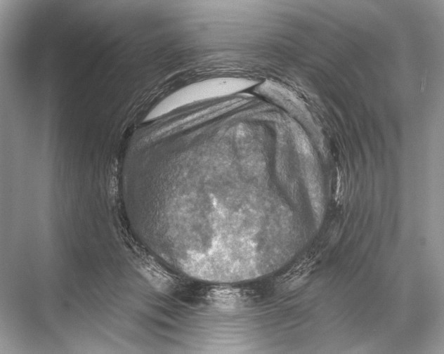 X0000067840413200605041654