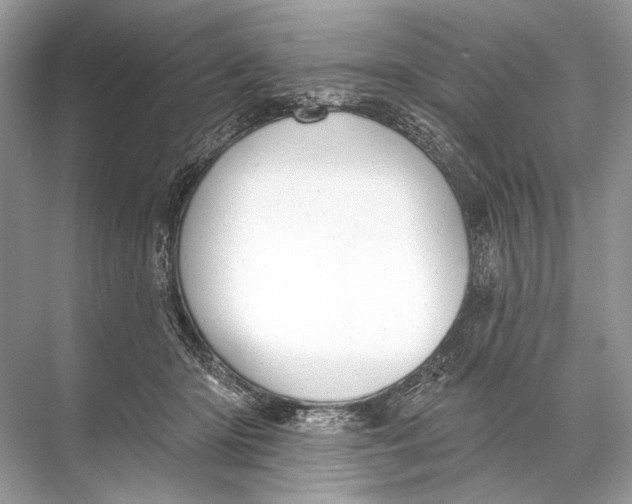 X0000067840414200605041654