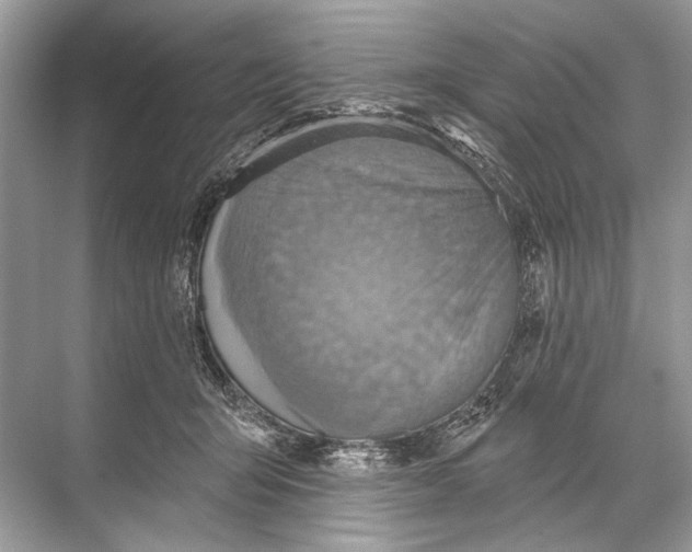 X0000067840415200605041654