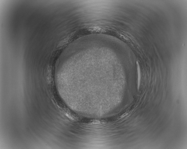 X0000067840416200605041654