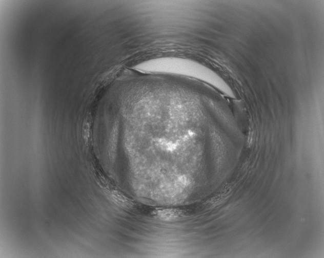 X0000067840417200605041654