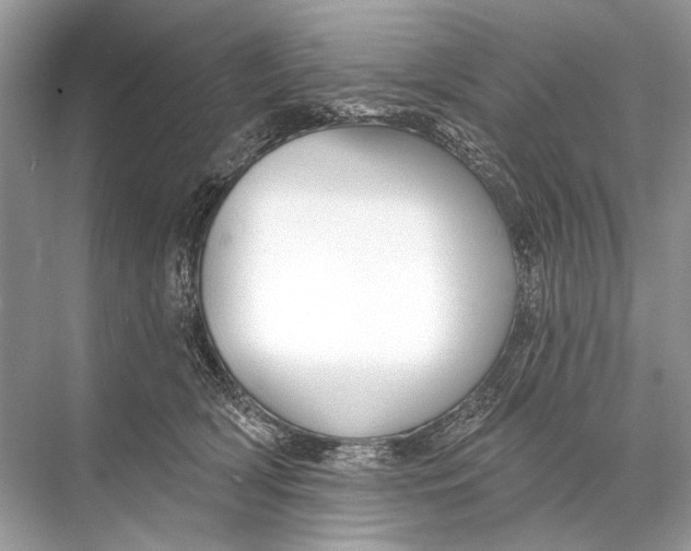 X0000067840418200605041654