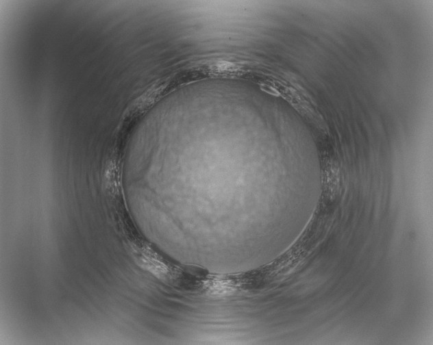 X0000067840419200605041654