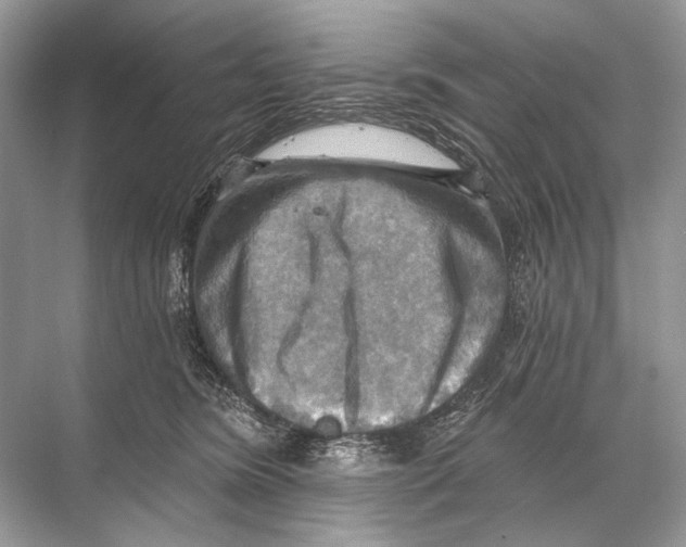 X0000067840420200605041654