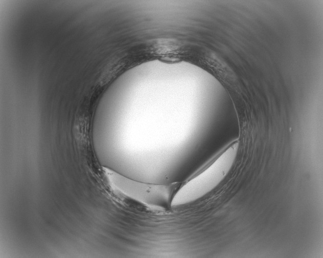 X0000067840421200605041654