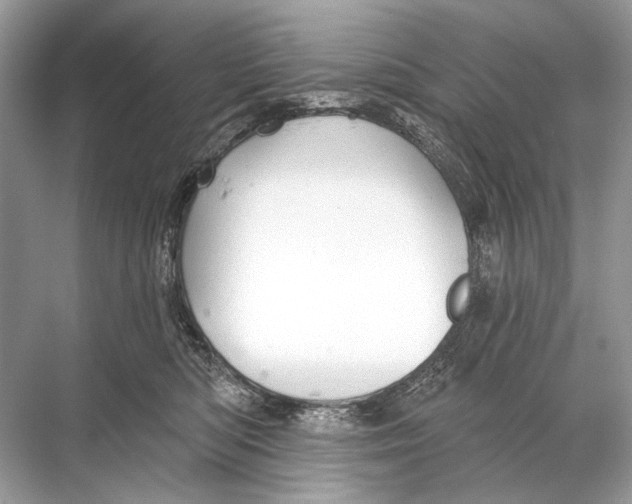 X0000067840422200605041654