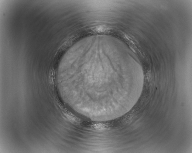 X0000067840423200605041654