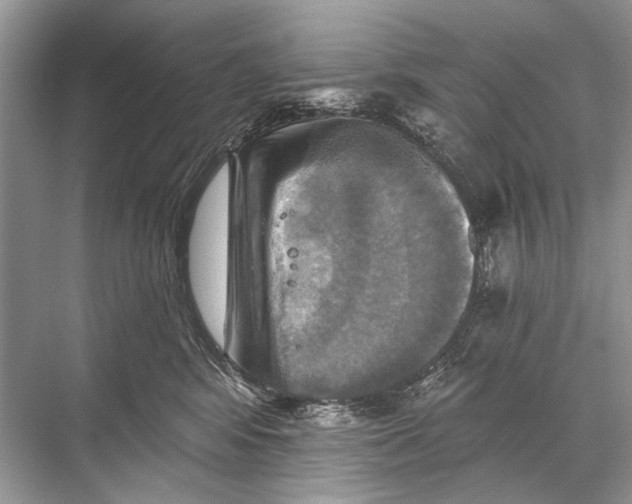 X0000067840424200605041654