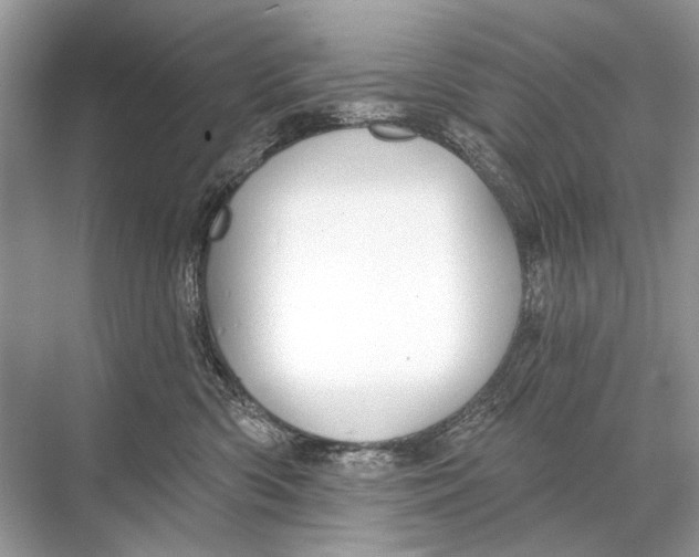 X0000067840426200605041654