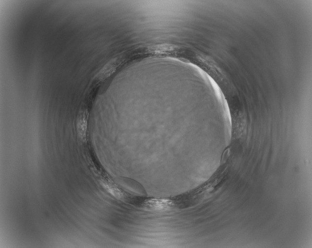 X0000067840427200605041654