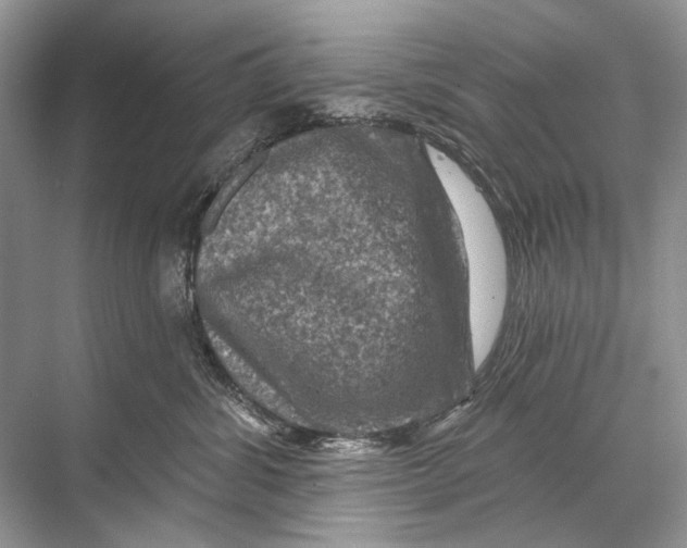 X0000067840428200605041654