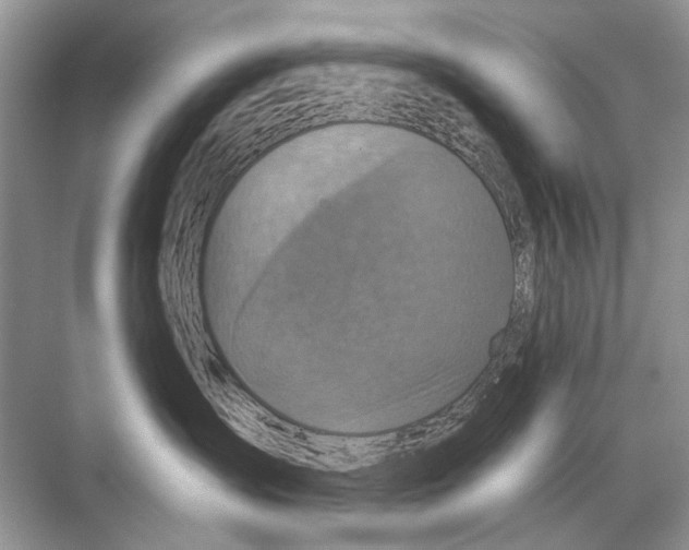 X0000067840431200605041654