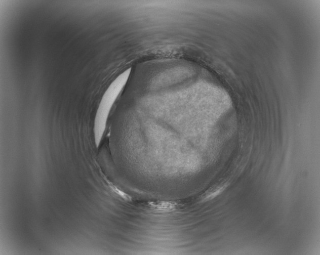 X0000067840432200605041654