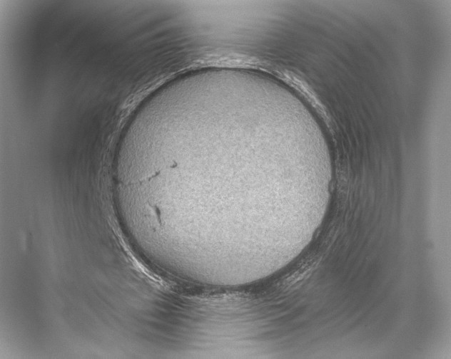 X0000067840433200605041653