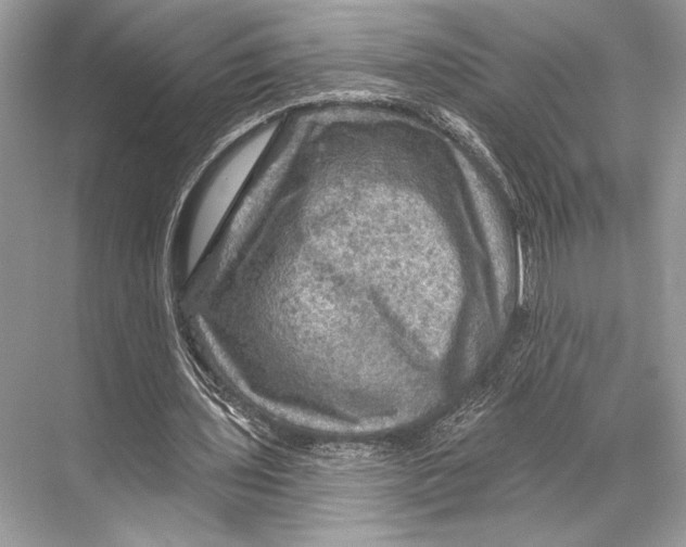 X0000067840435200605041653