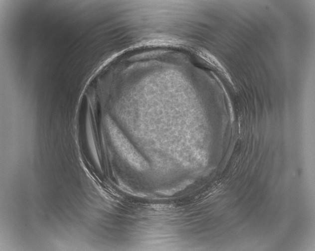 X0000067840436200605041653