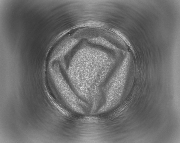 X0000067840437200605041653