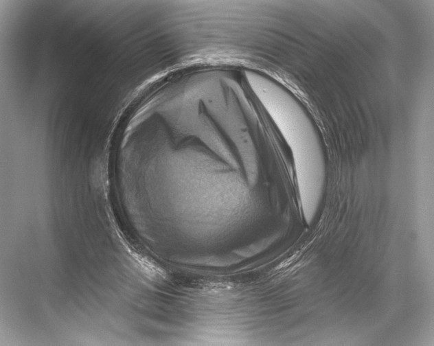 X0000067840438200605041653