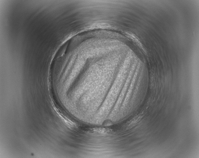 X0000067840439200605041653