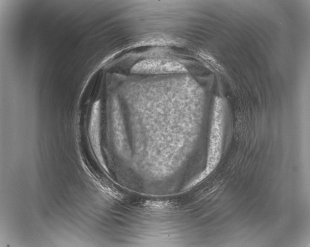 X0000067840440200605041653