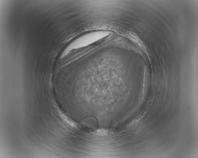 X0000067840441200605041653