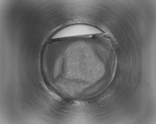 X0000067840442200605041653