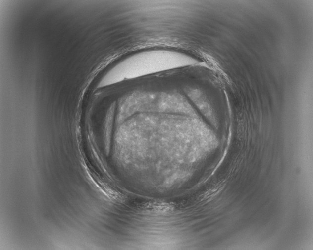 X0000067840443200605041653