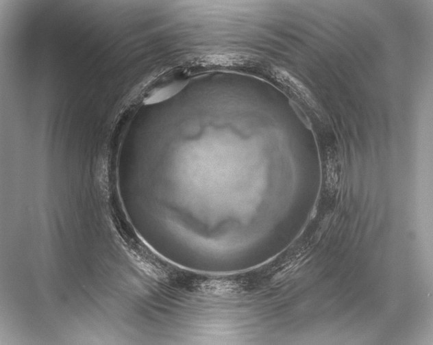 X0000067840444200605041653