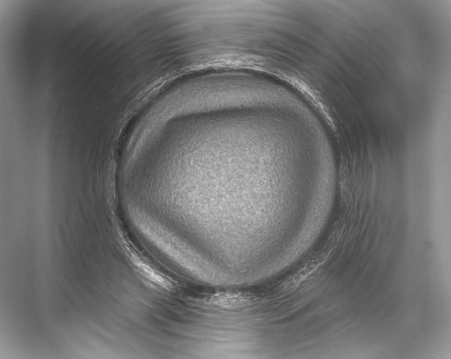 X0000067840445200605041653