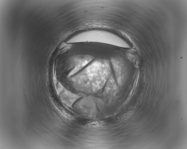 X0000067840447200605041653