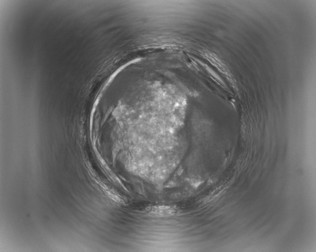 X0000067840449200605041653