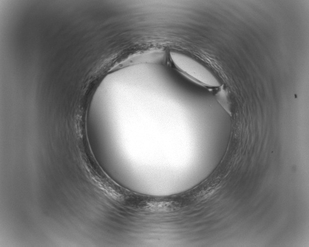 X0000067840450200605041653