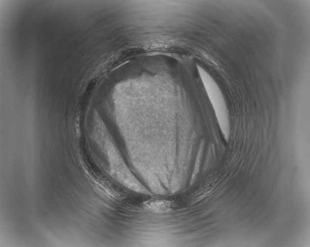 X0000067840452200605041653