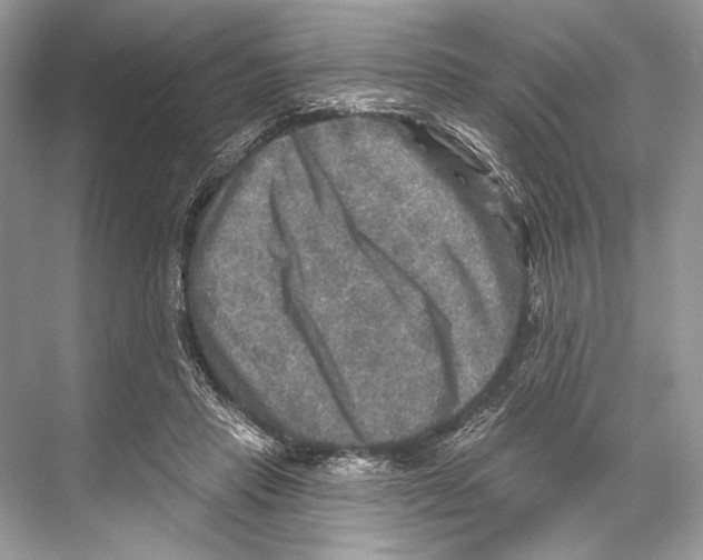 X0000067840453200605041654