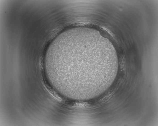 X0000067840455200605041654