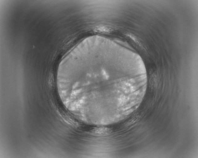 X0000067840459200605041654