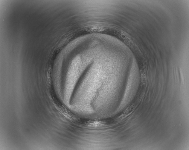 X0000067840460200605041654