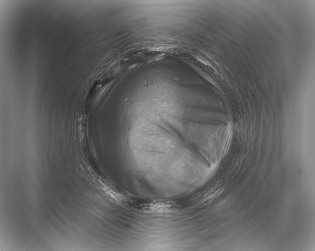 X0000067840462200605041654